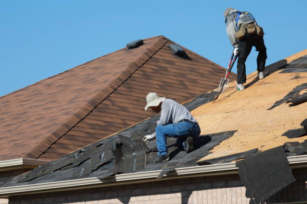 Best Roof Ventilation Installation  in Siesta Acres, TX