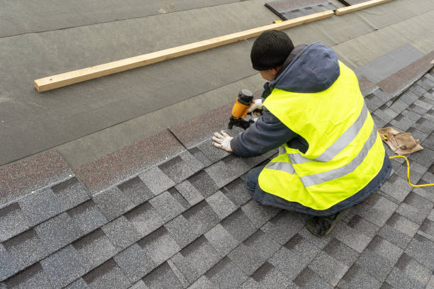 Best Roof Moss and Algae Removal  in Siesta Acres, TX