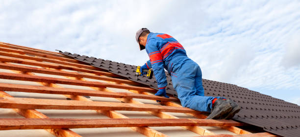 Best Roof Ventilation Installation  in Siesta Acres, TX
